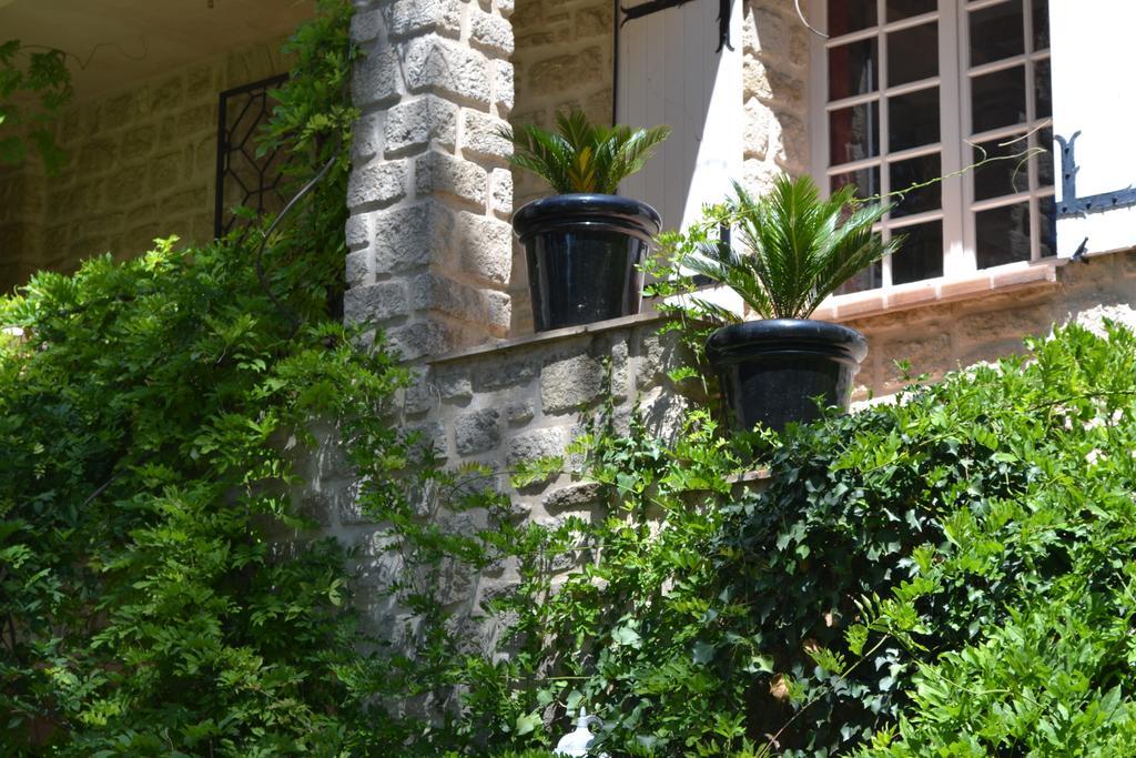 Mas Les Filaos Otel Carpentras Dış mekan fotoğraf