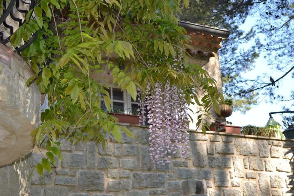 Mas Les Filaos Otel Carpentras Dış mekan fotoğraf